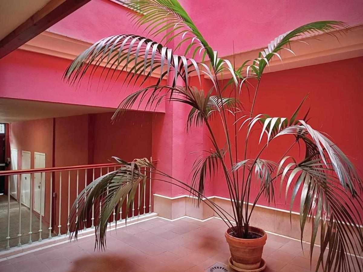 סביליה Apartamento Sauceda 7 מראה חיצוני תמונה
